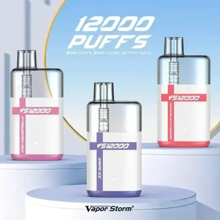 12000 Puffs Disposable