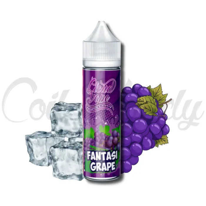 Sub Ohm GRAPE ICE | 600 PUFF | JUICE KLOUD