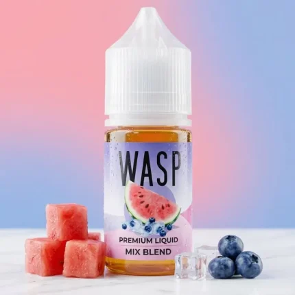 Wasp Blueberry Watermelon Ice By Oumier – 30ml Nic Salt